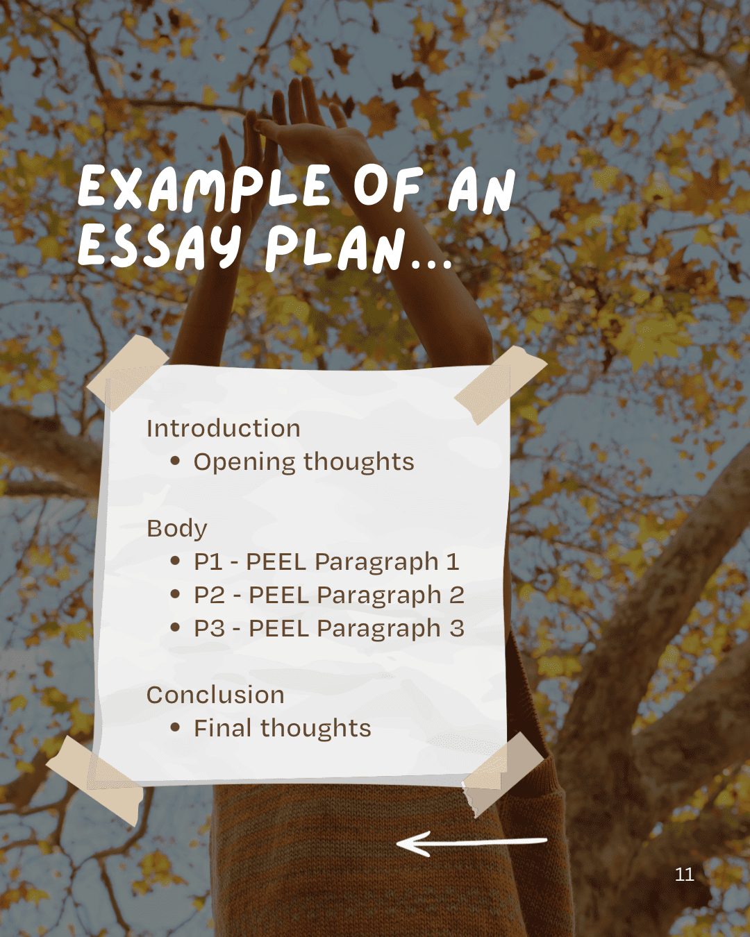 Essay Writing Basics, P12.
