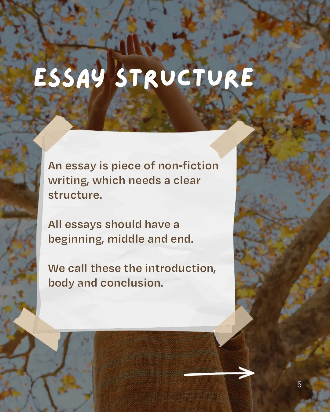 Essay Writing Basics, P5.