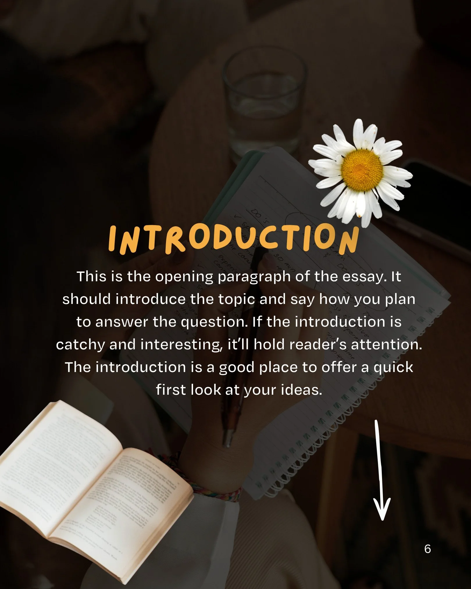 Essay Writing Basics, P6.