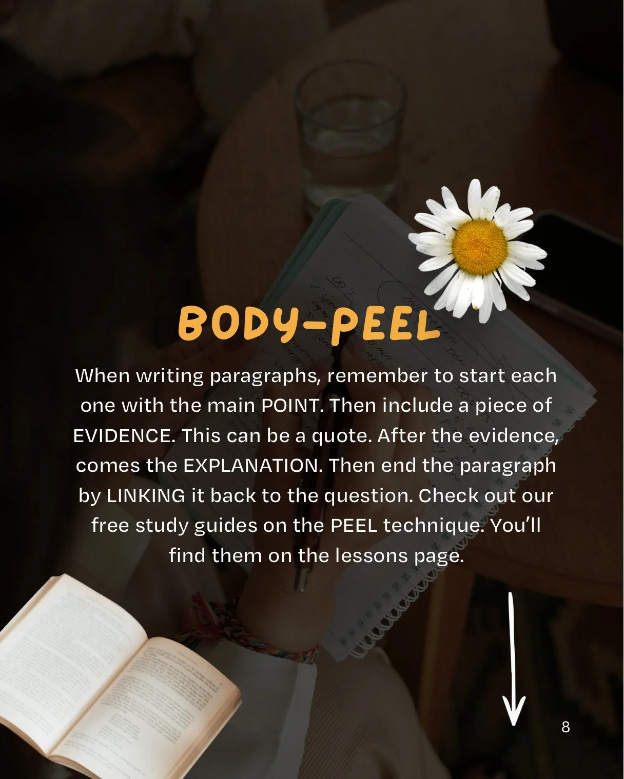 Essay Writing Basics, P7.