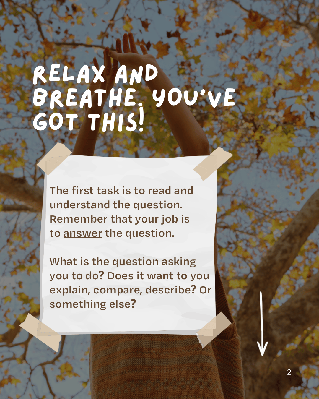 Essay Writing Basics, P2.