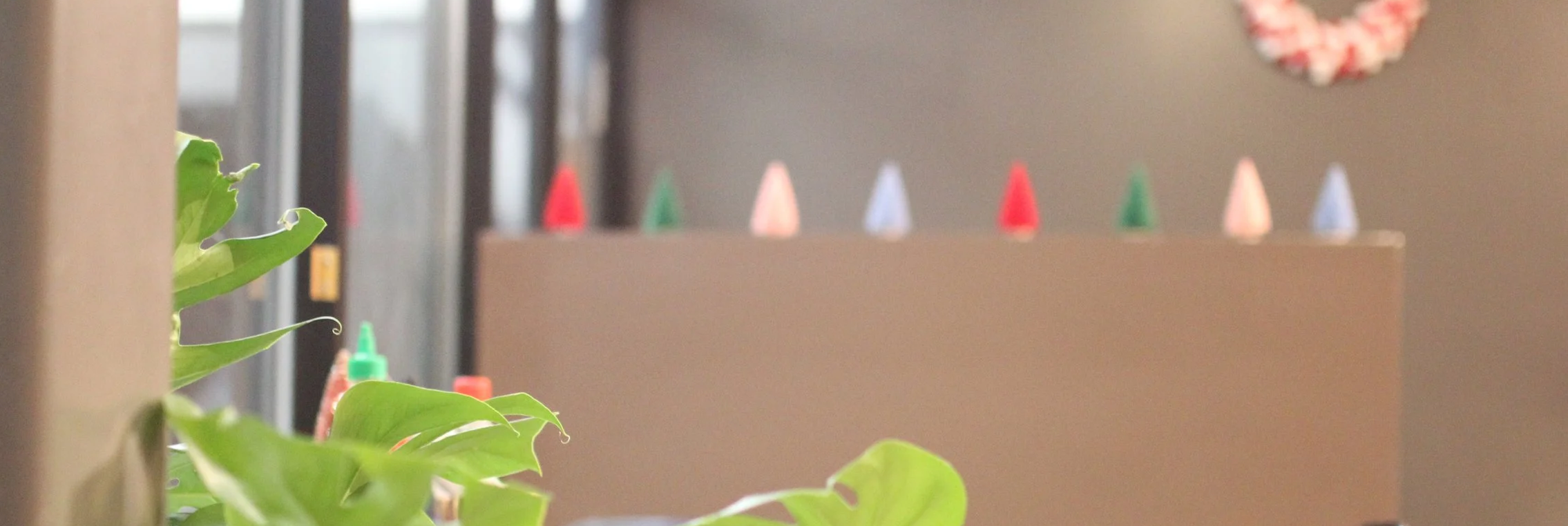 Green leaves in the foreground with a blurred background showing colorful small cone-shaped objects arranged on a flat surface.