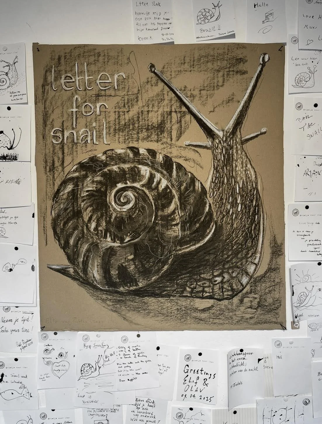 SNAIL MAIL (12 month subscription)