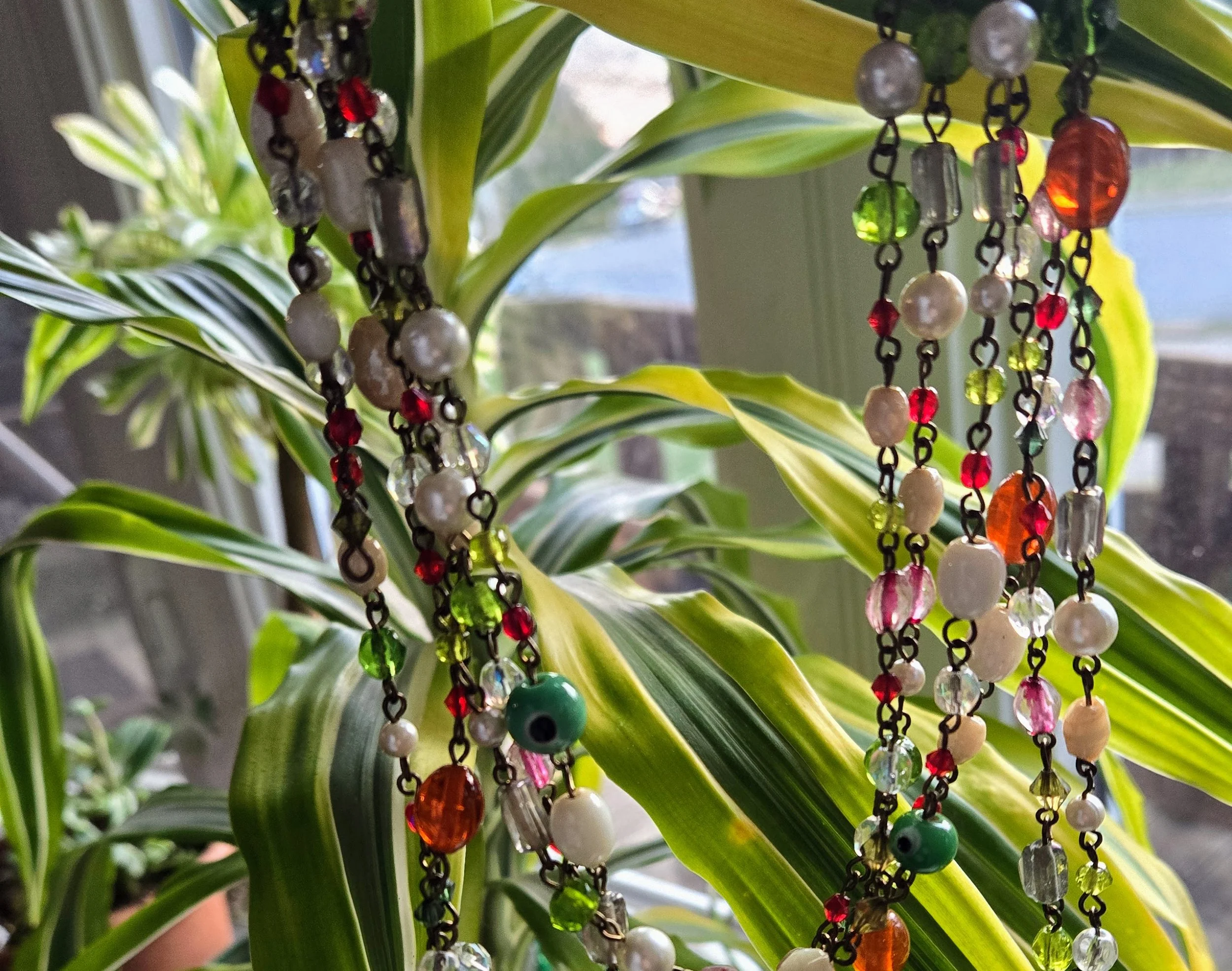 20260315_074740 (1).jpg