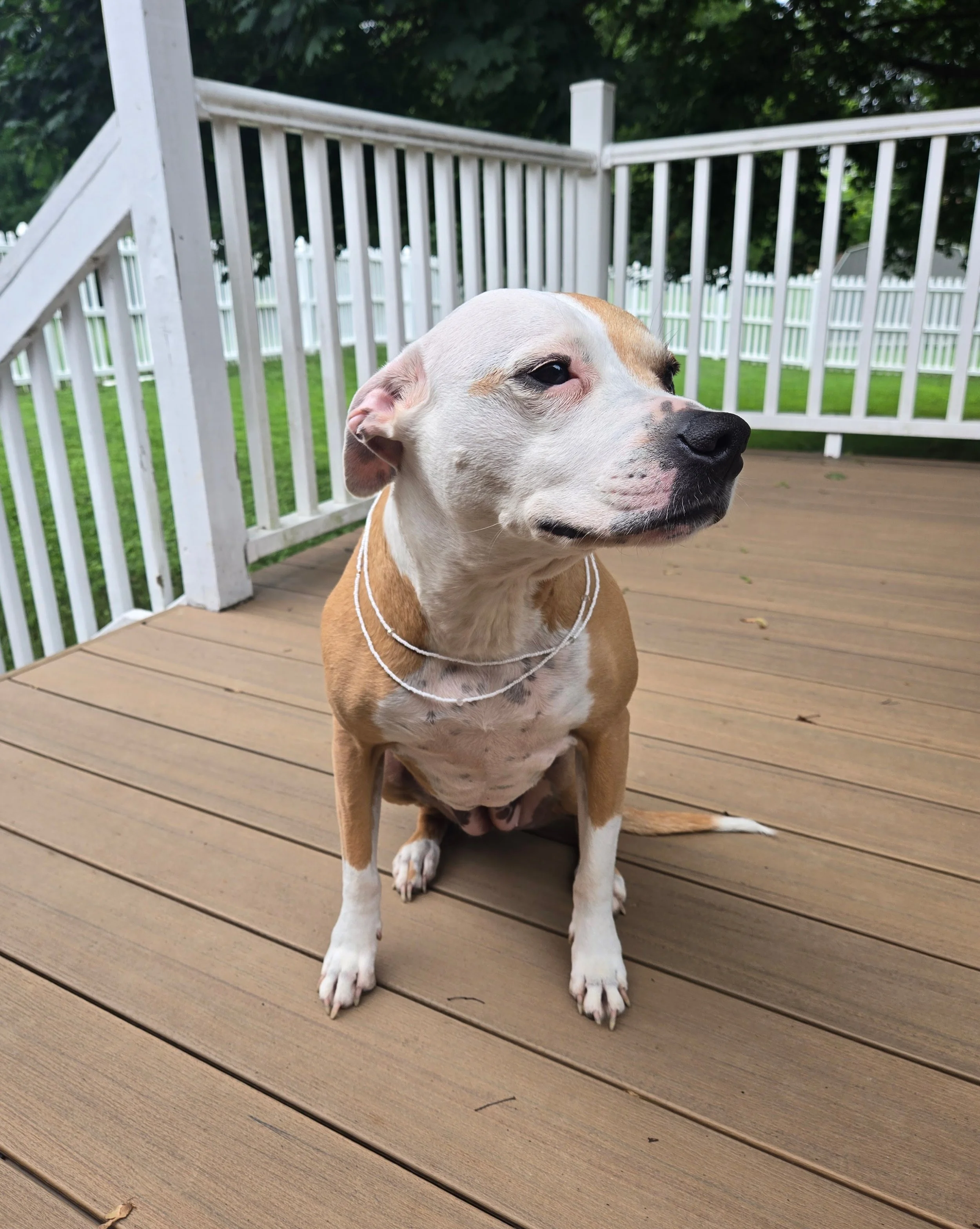 20250713_082857 (1).jpg