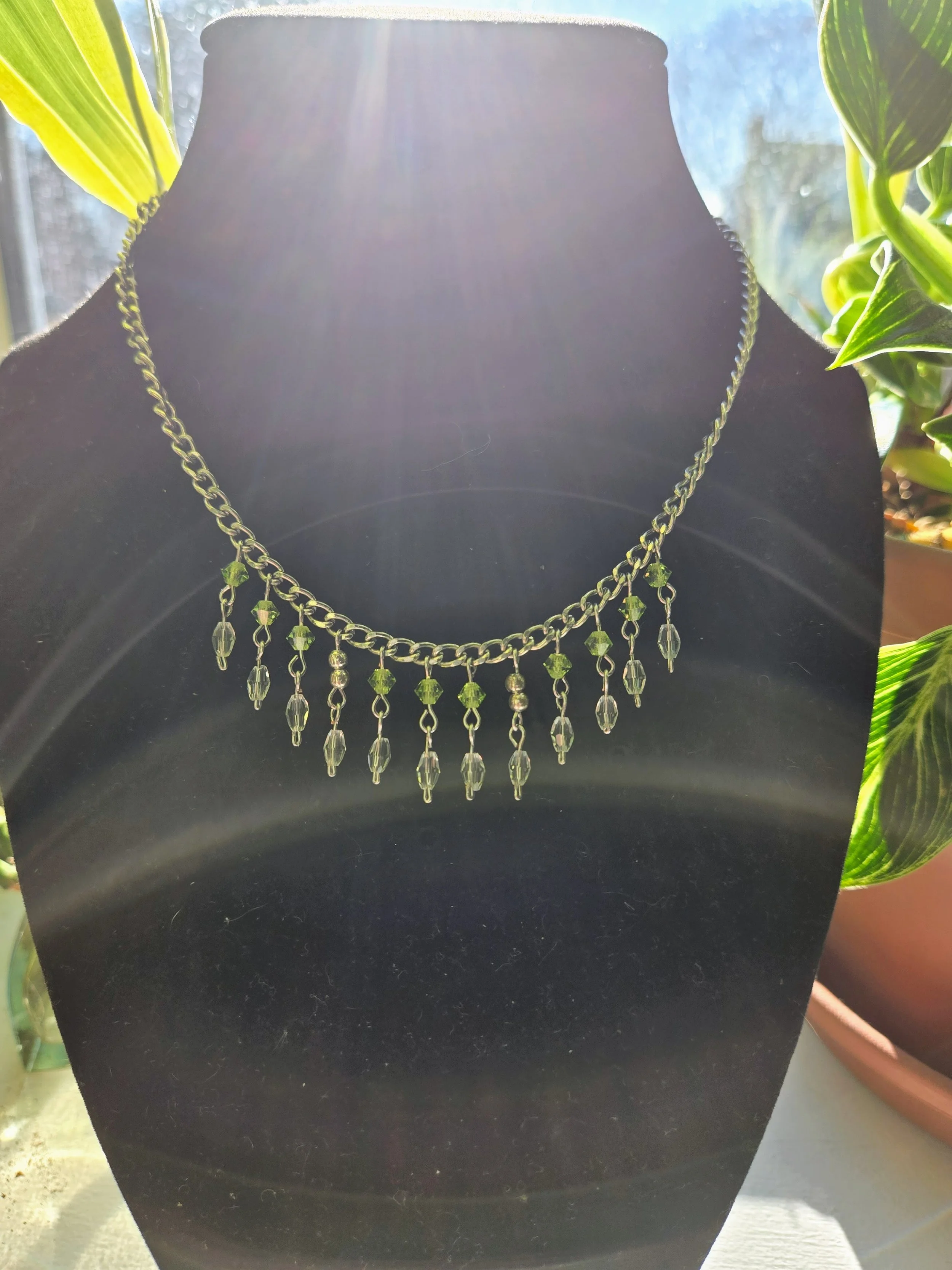 20260314_091232 (1).jpg