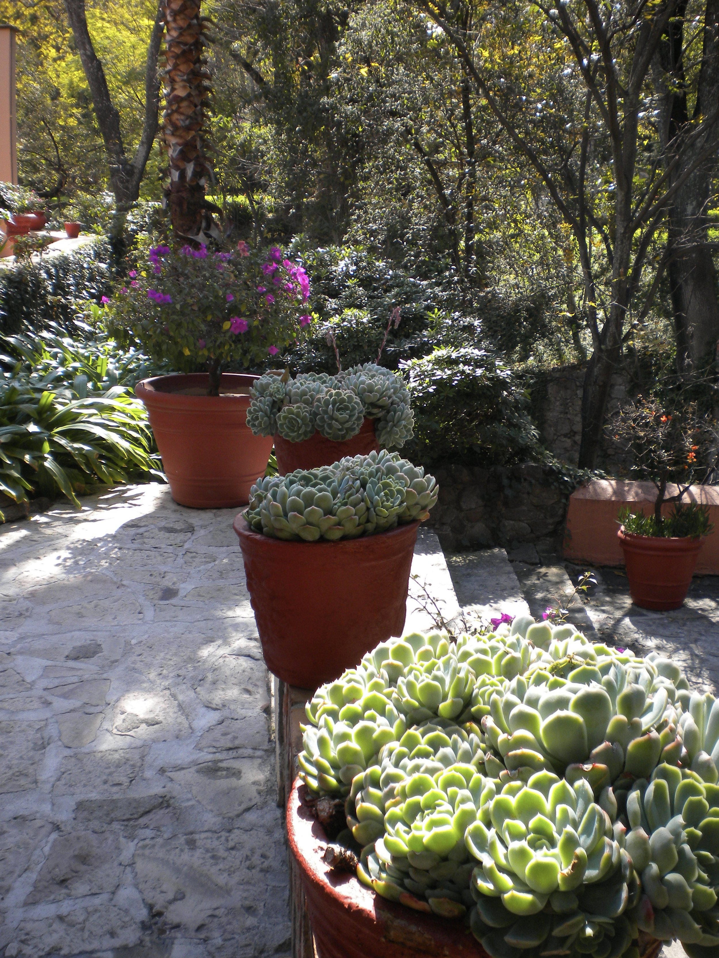 DSCN2801.JPG