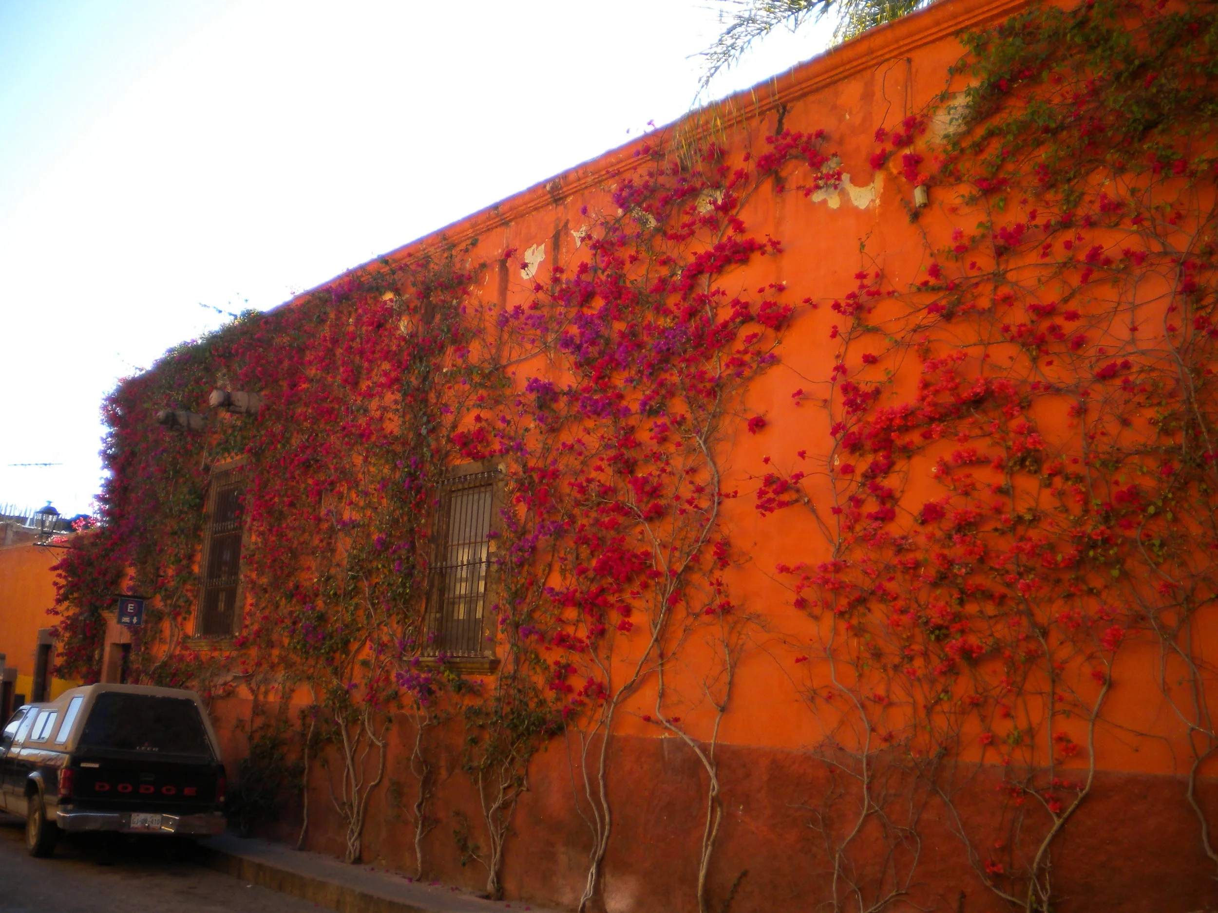 DSCN2780.JPG