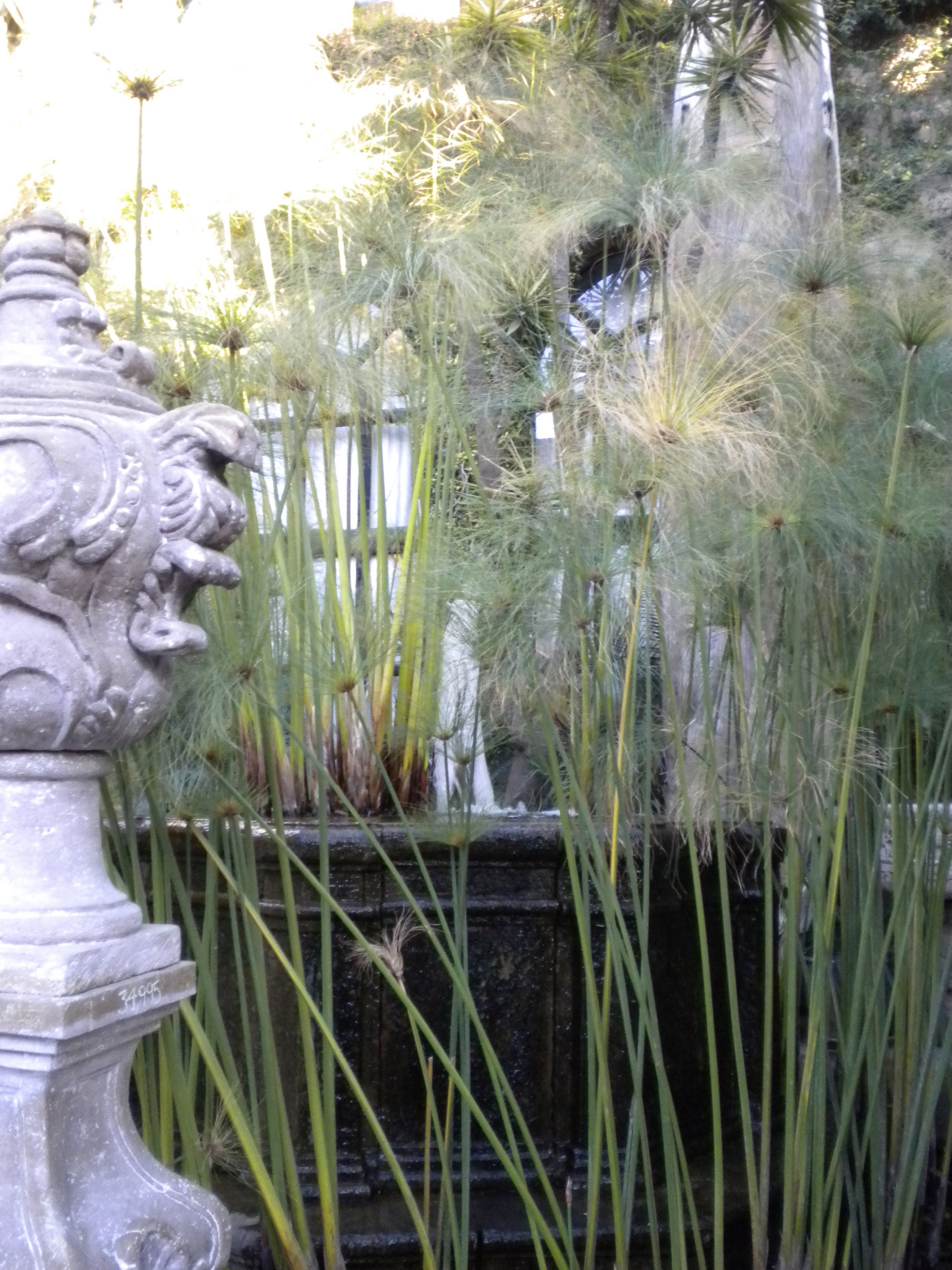 DSCN2791.JPG
