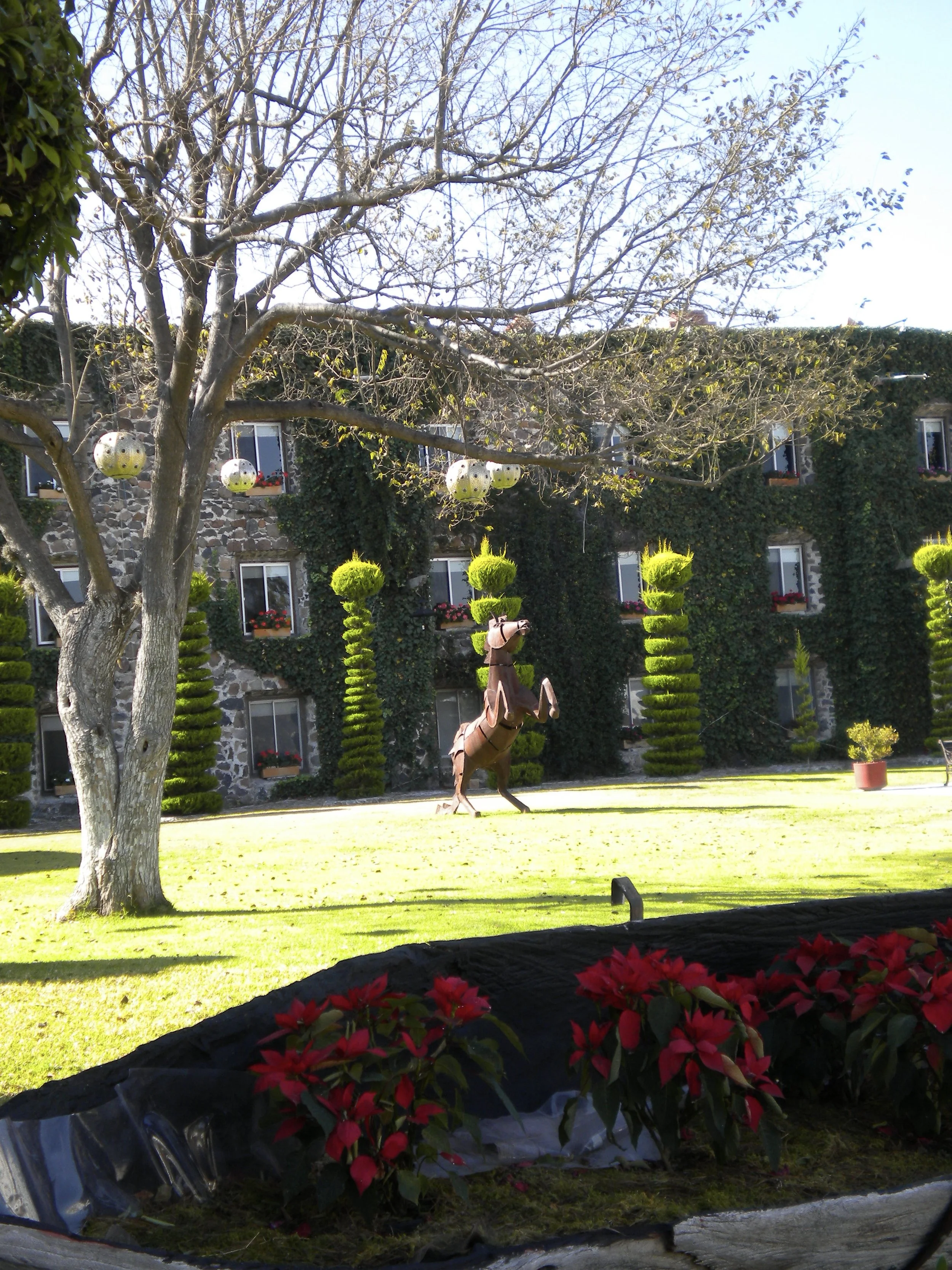 DSCN2880.JPG