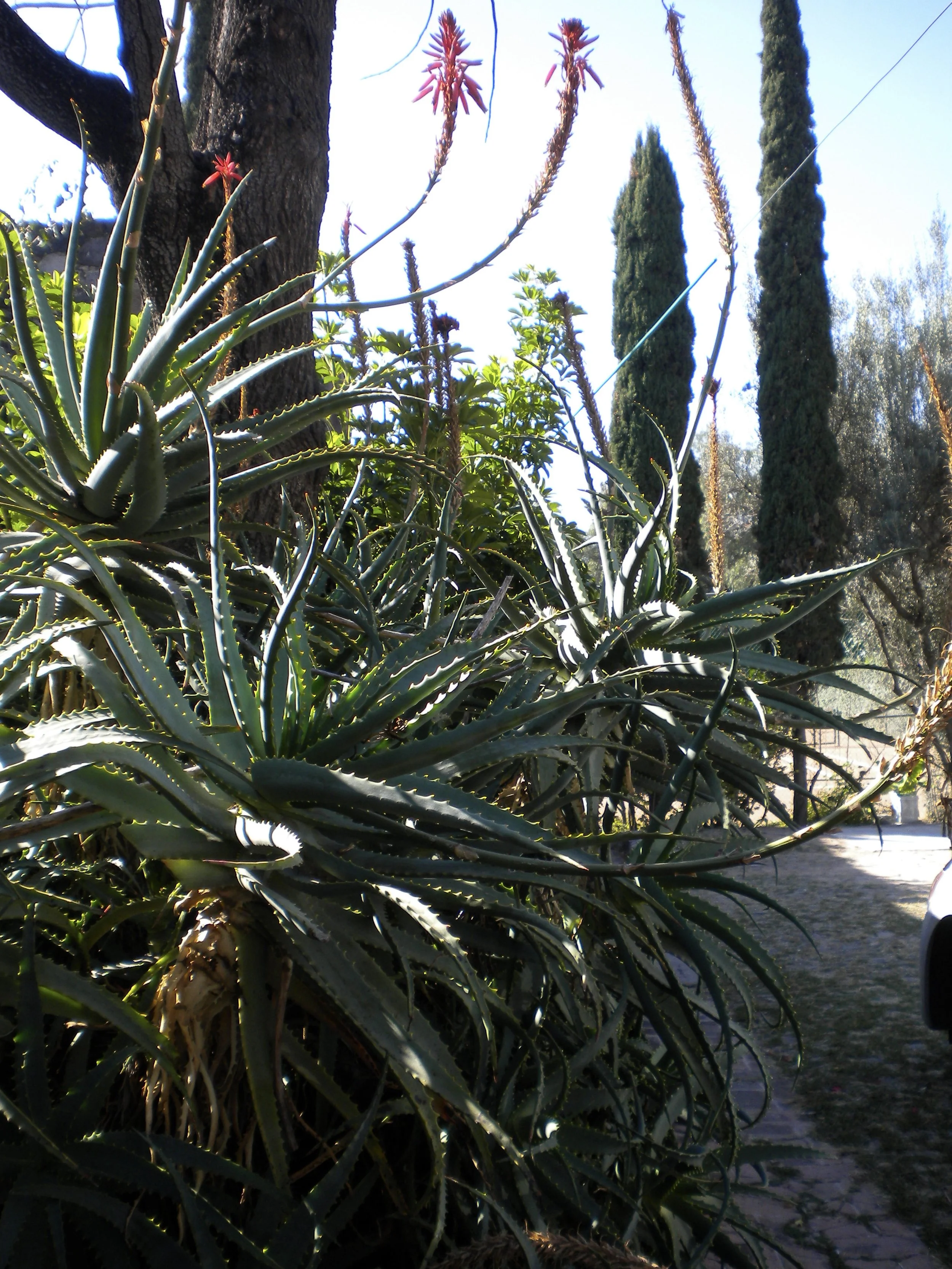 DSCN2876.JPG
