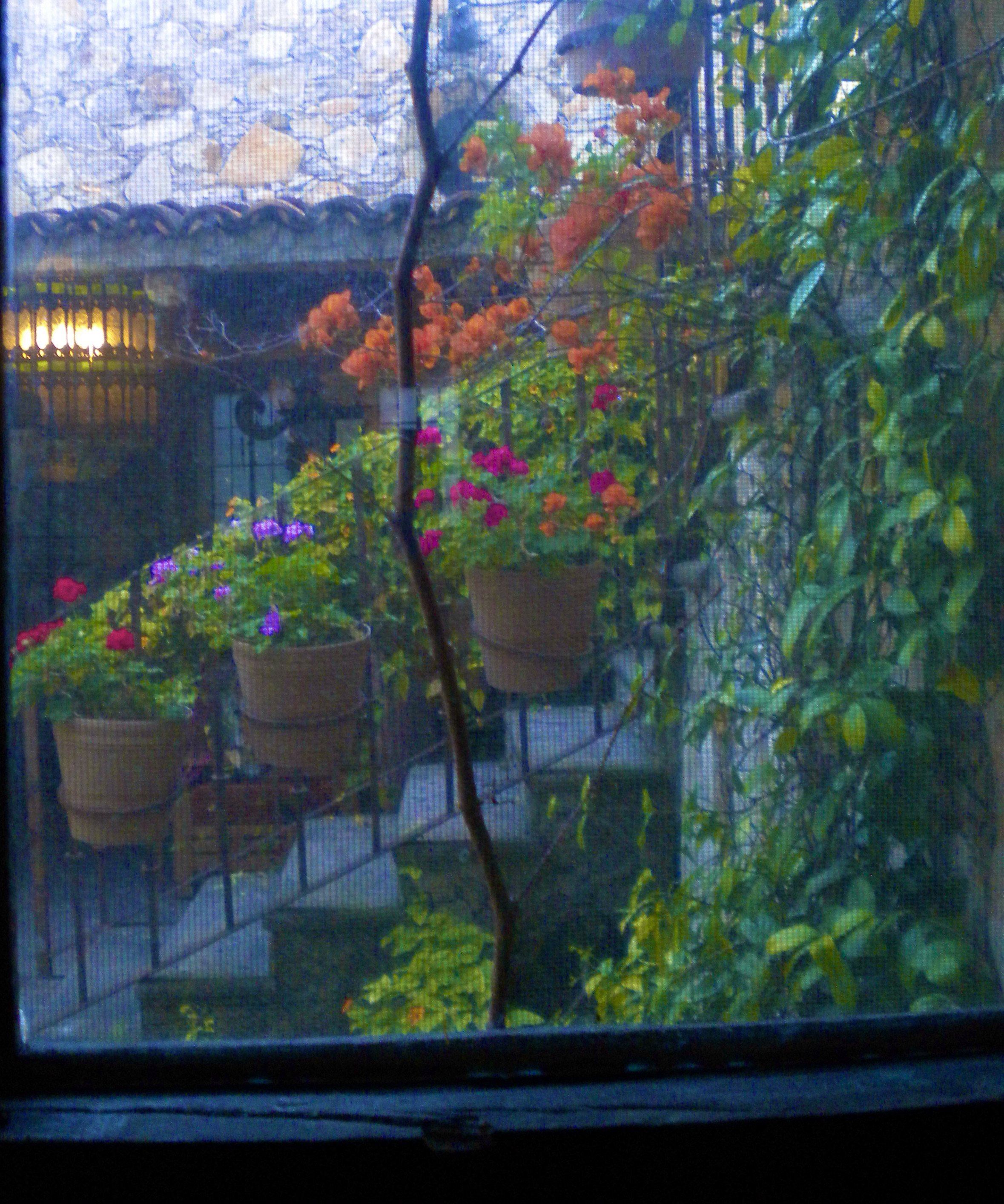 DSCN2821.JPG