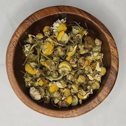 EgyptianChamomile.jpg