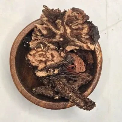 Rhodiola+Root.jpg