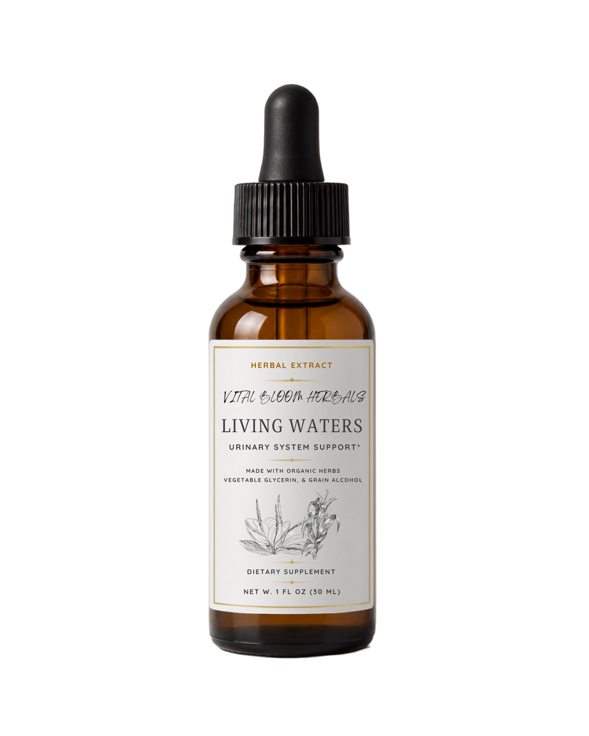 Living Waters: Urinary Support Extract