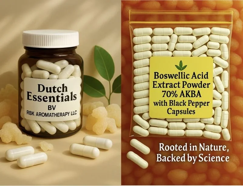 Photo Aug 18 2025, 1 48 08 PM.jpg