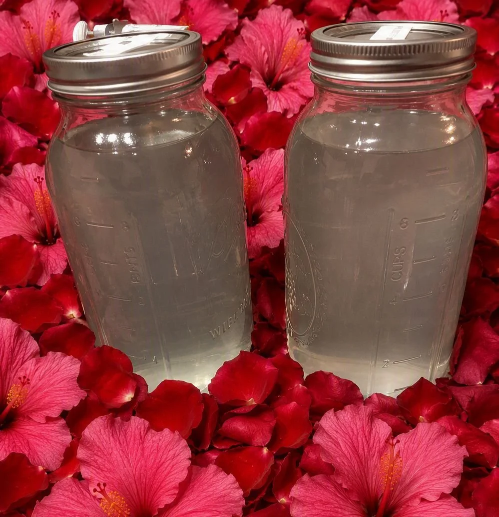 Hibiscus (Hibiscus sabdariffa) / Rose  (Rosa × damascena) Hydrosol