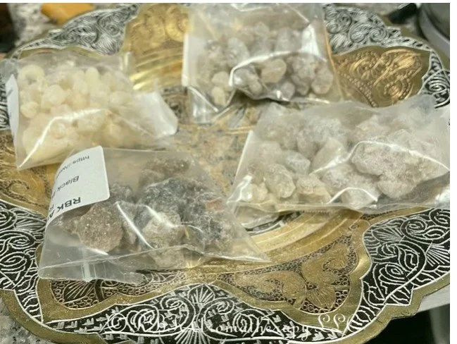 Frankincense Boswellia sacra Kit-3