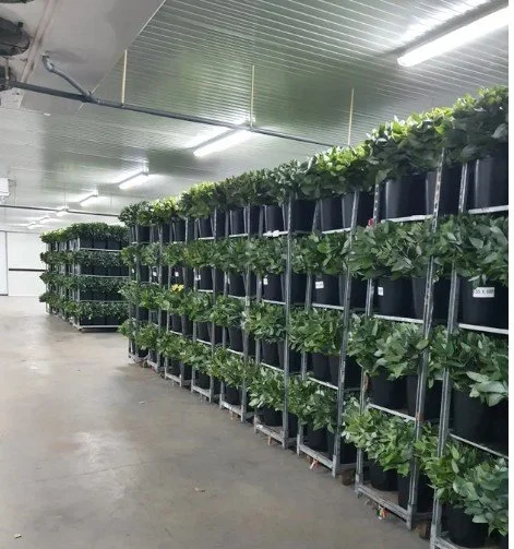 Screenshot 2026-02-05 181827.jpg