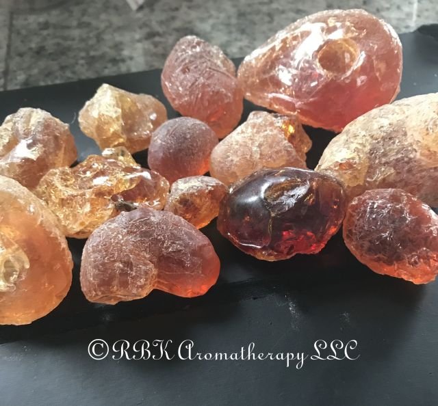 acadia gum huge2.jpg