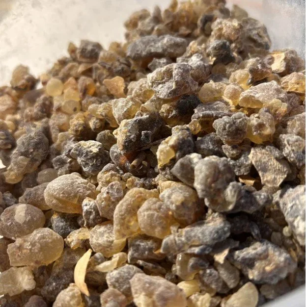 Frankincense Boswellia Black "Sticky" Sacra Powder/Gravel from Salalah Omzn