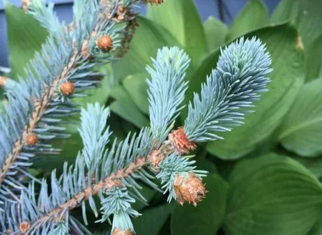 Screenshot 2026-03-06 181452.jpg