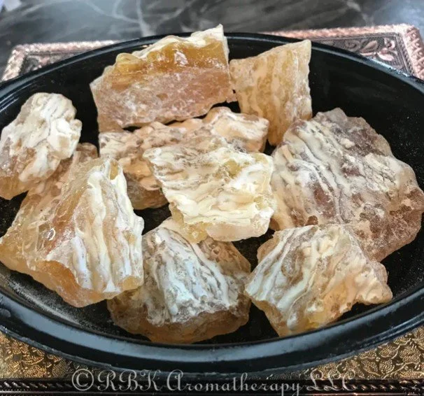 Screenshot 2026-02-20 170343.jpg