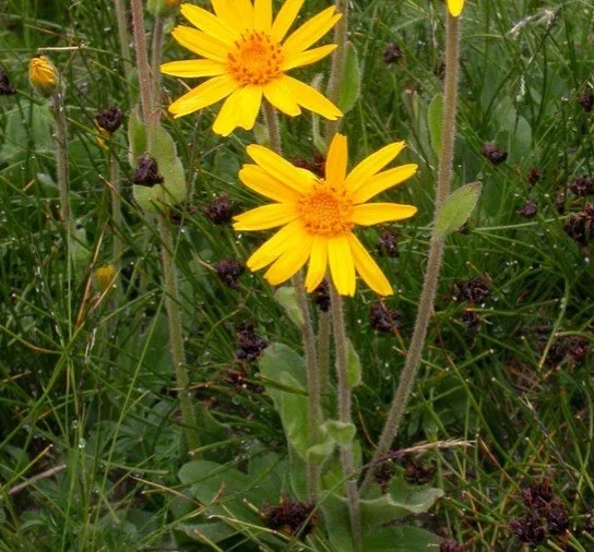 Screenshot 2026-02-20 173039.jpg