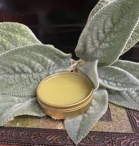 Lamb's Ear Perennial Herb - Soft and Aromatic Salve
