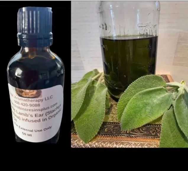 Lamb's Ear (Stachys byzantina) Herbal Infuson- 50 mls