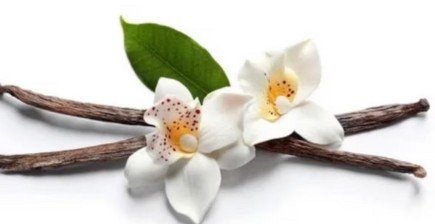 Screenshot 2026-02-20 184339.jpg