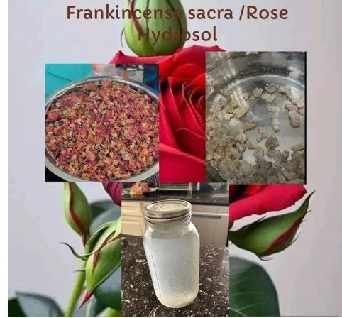 Frankincense Hojari Supreme sacra and Rose Hydrosol
