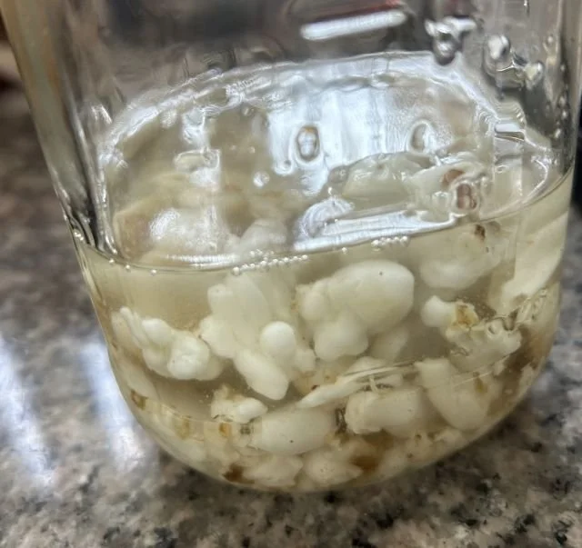 mixed sacra extract2.jpg