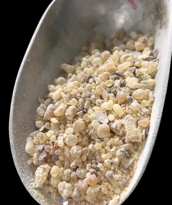 Frankincense Boswellia carteri resin small pieces
