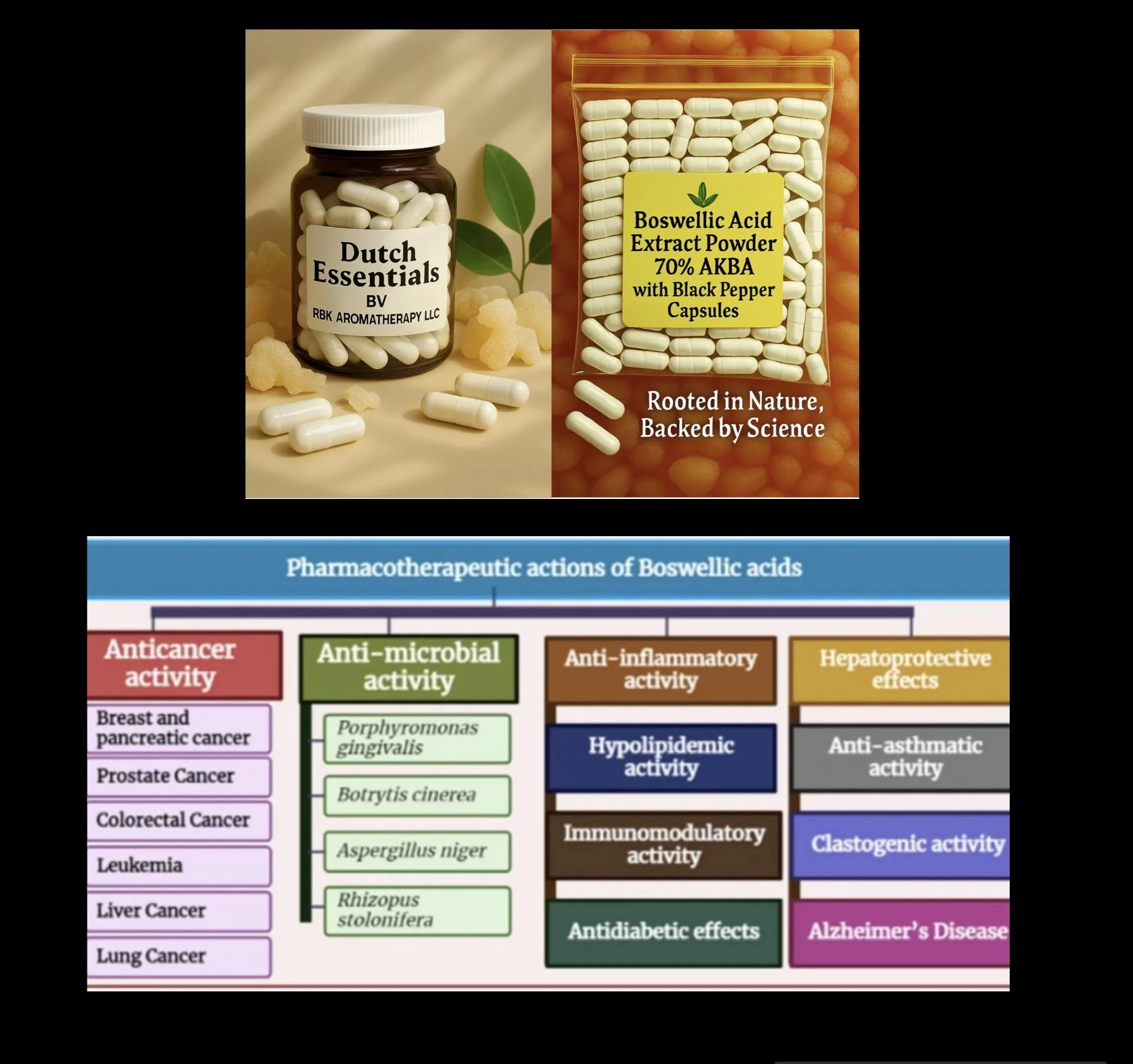 Image showing dietary supplements of Boswellic acid extract powder and capsules on the top, and a chart at the bottom illustrating the pharmacotherapeutic actions of Boswellic acids, including anticancer, anti-microbial, anti-inflammatory, hepatoprotective, anti-asthmatic, and Alzheimer’s disease effects.