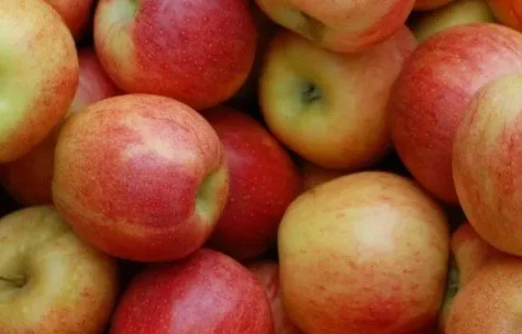 Screenshot 2026-03-17 193807.jpg