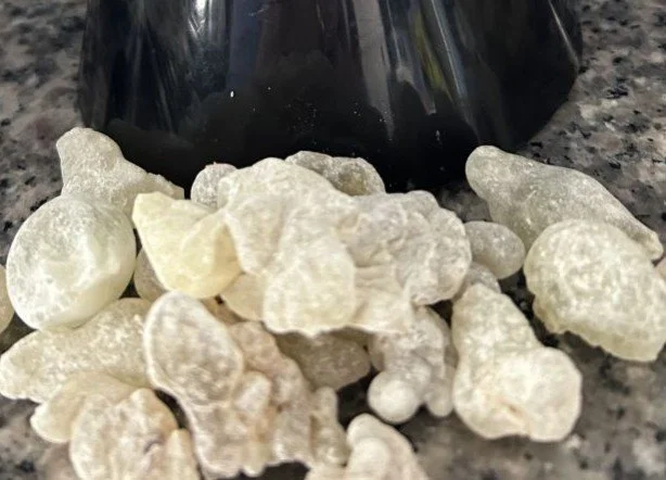 Screenshot 2026-02-20 174135.jpg