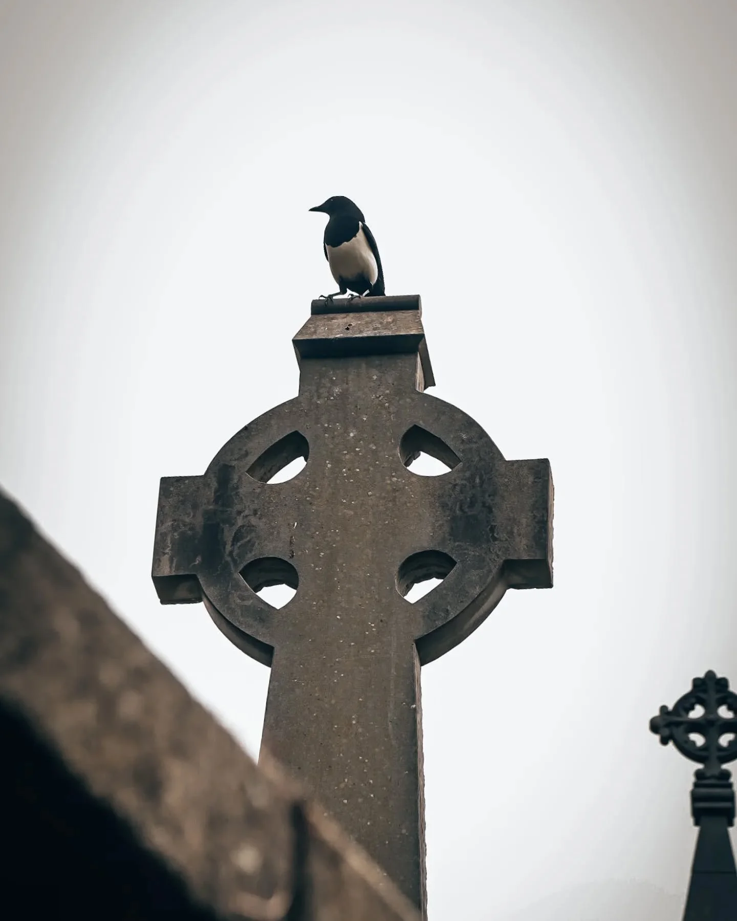 Que extra&ntilde;a sensaci&oacute;n el rodearte de 100tos de personas y sentirte tan s&oacute;lo al mismo tiempo. Que suerte tenemos  realmente con poder disfrutar de esta corta vida.

 Happy Halloween. 

#halloween #spooky #horror #halloweencostume 