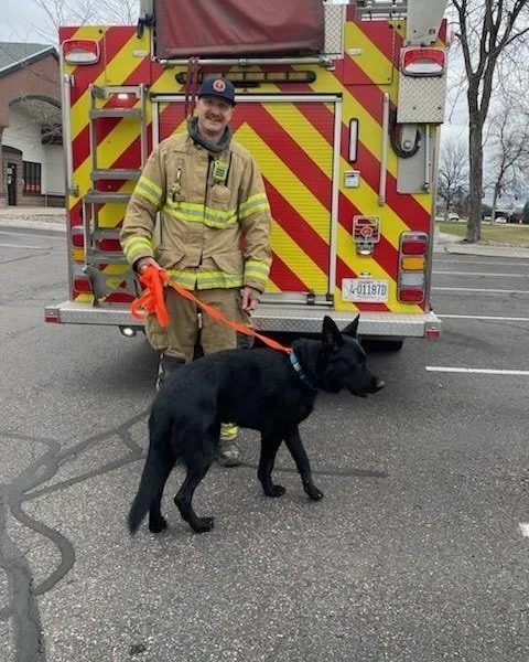 311's crew was able to help this escape artist  get back to his family after he  manged to get out of the yard. Our resident dog whisper, Firefighter Ostman, was able to call this fine fella in so we could get his owner's phone number from his collar