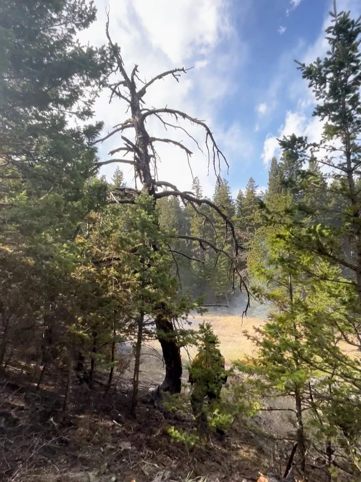 Our crew was happy to assist agencies from across the region on the Eastside Fire in Red Lodge, MT last week. 

Wildland fire season is just around the corner. Now is the time to prepare!
