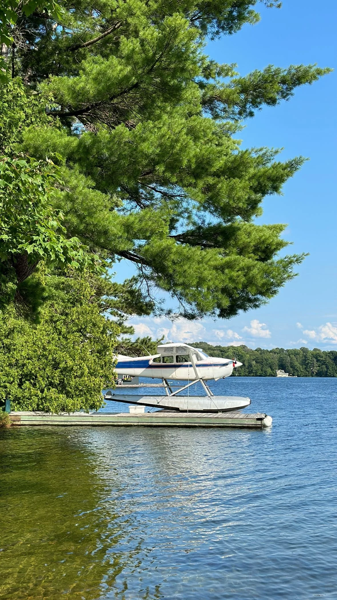 A seaplane docked at a wooden pier on a lake, with lush green trees and a clear blue sky in the background.