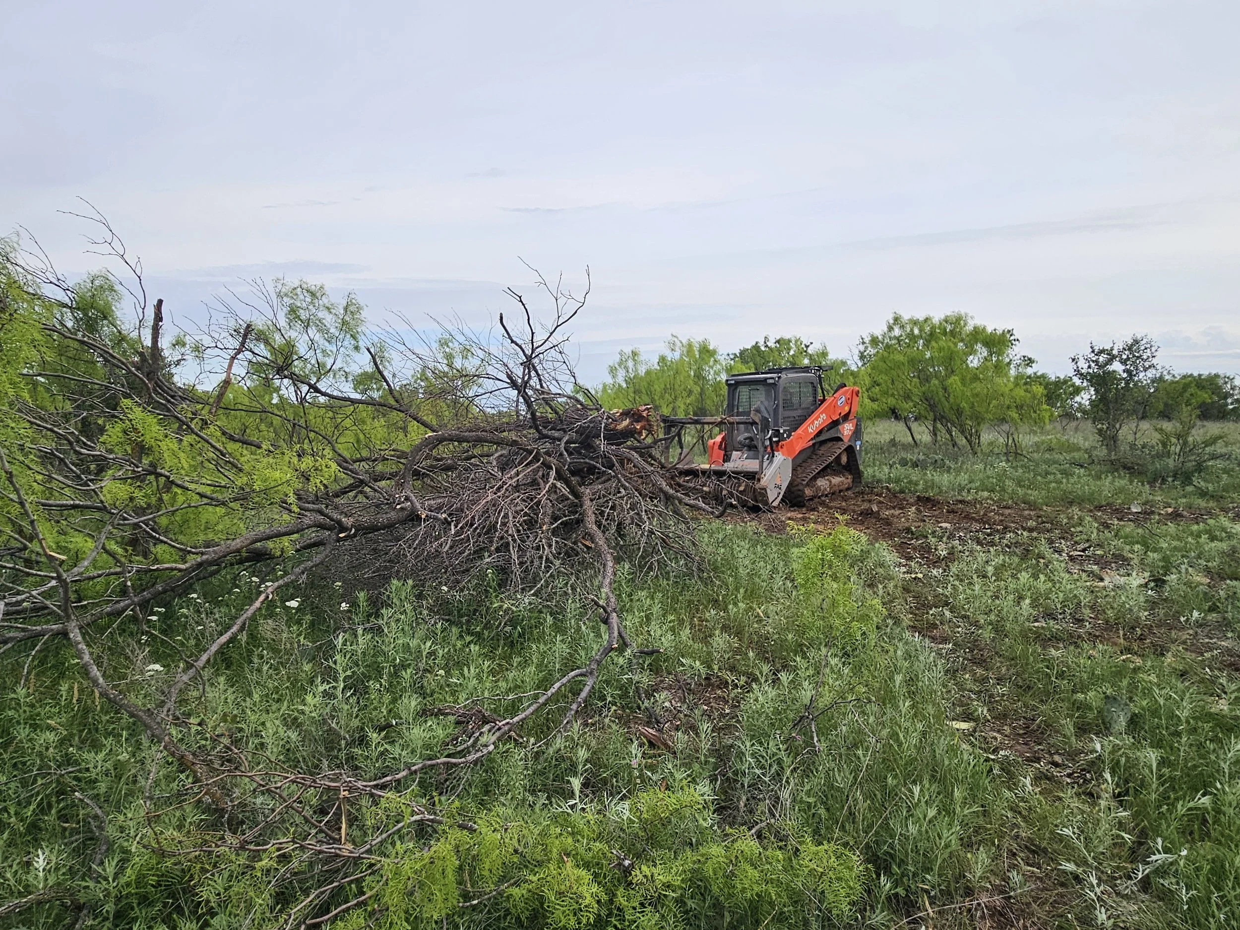 Mesquite Brush Pile pic 2.jpg
