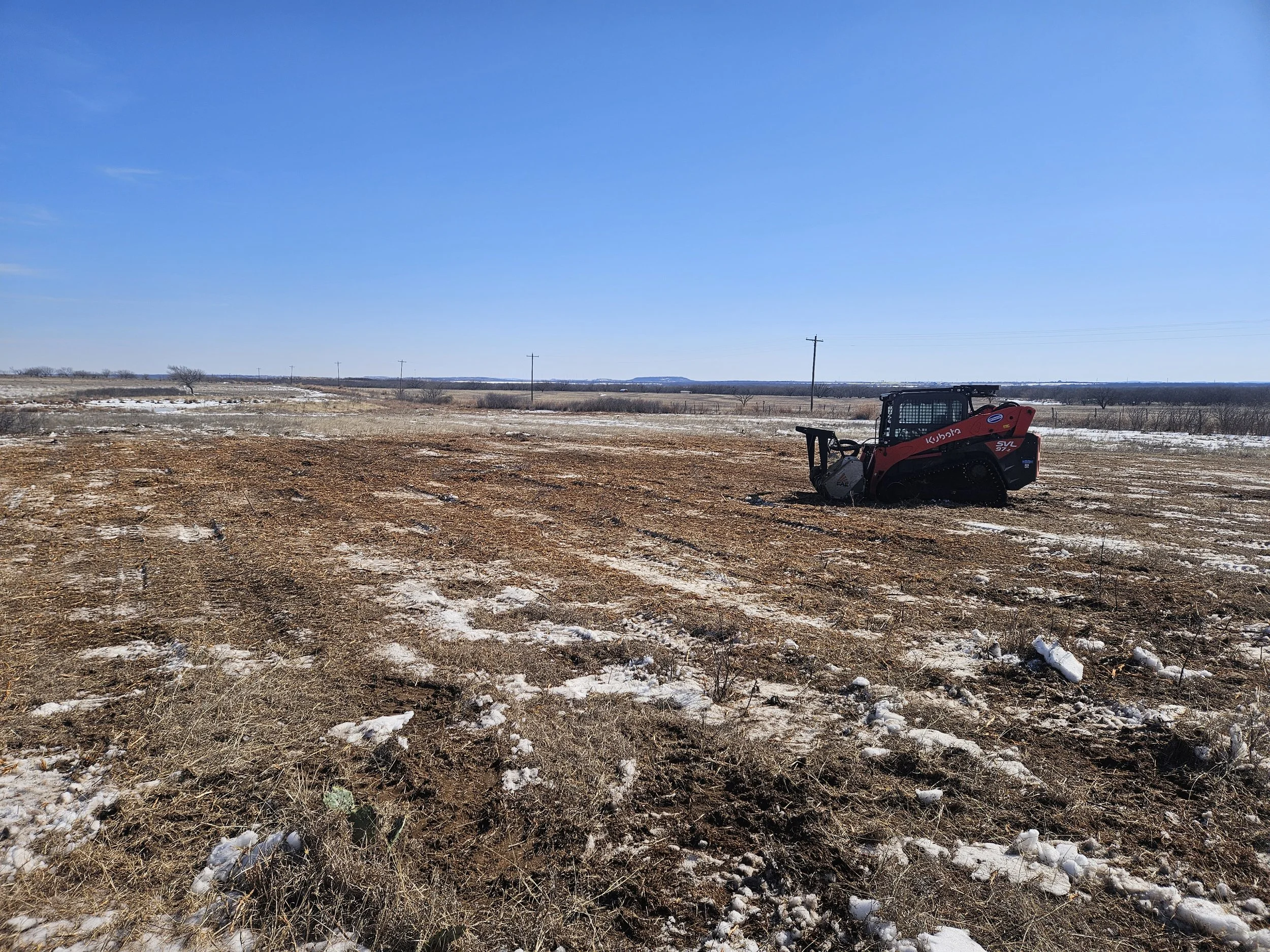 Plum Thickets Post Pic.jpg