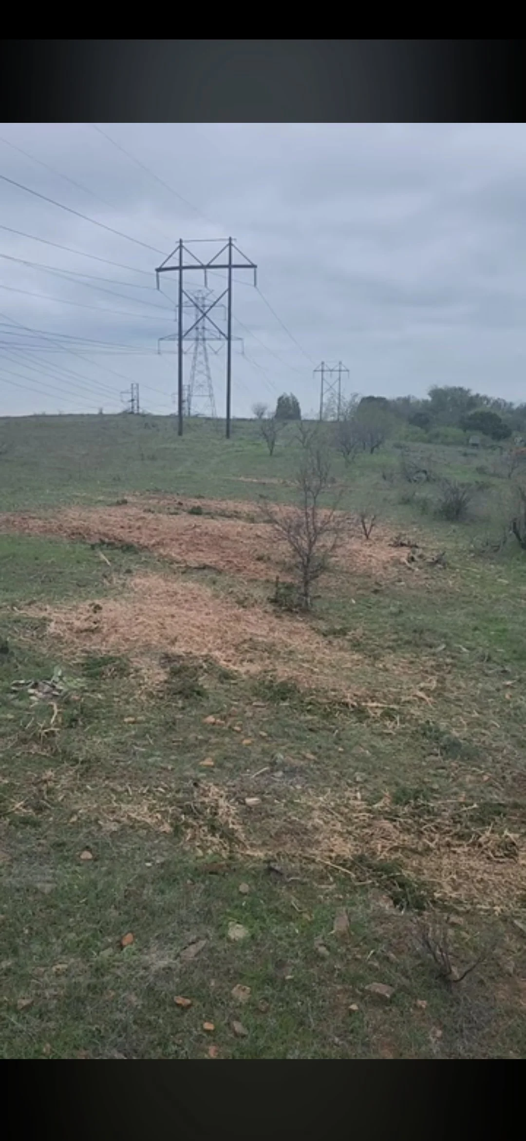 Ridge Mulch Finished.jpg