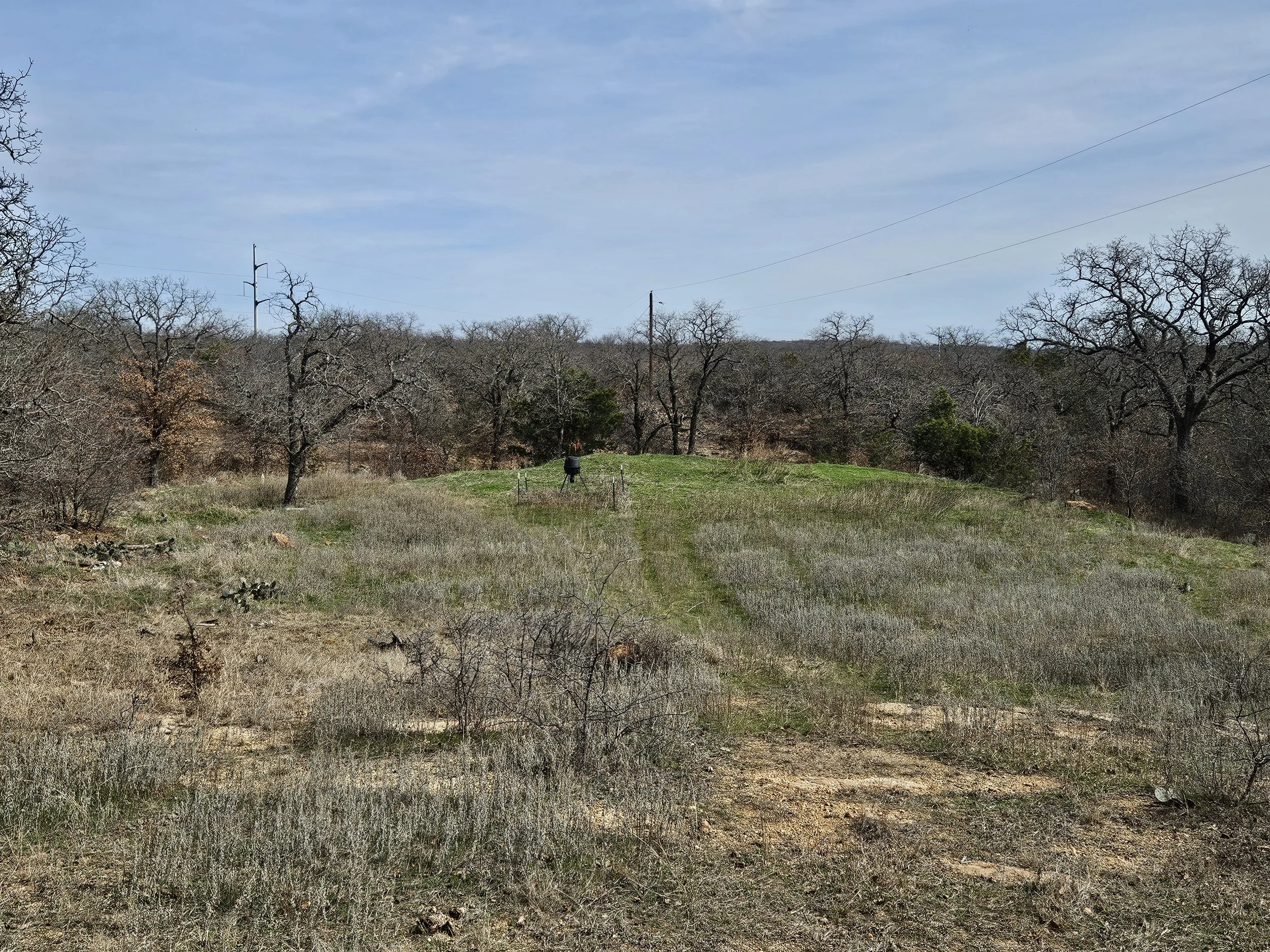 deer feeder before pic 3.9.26.jpg