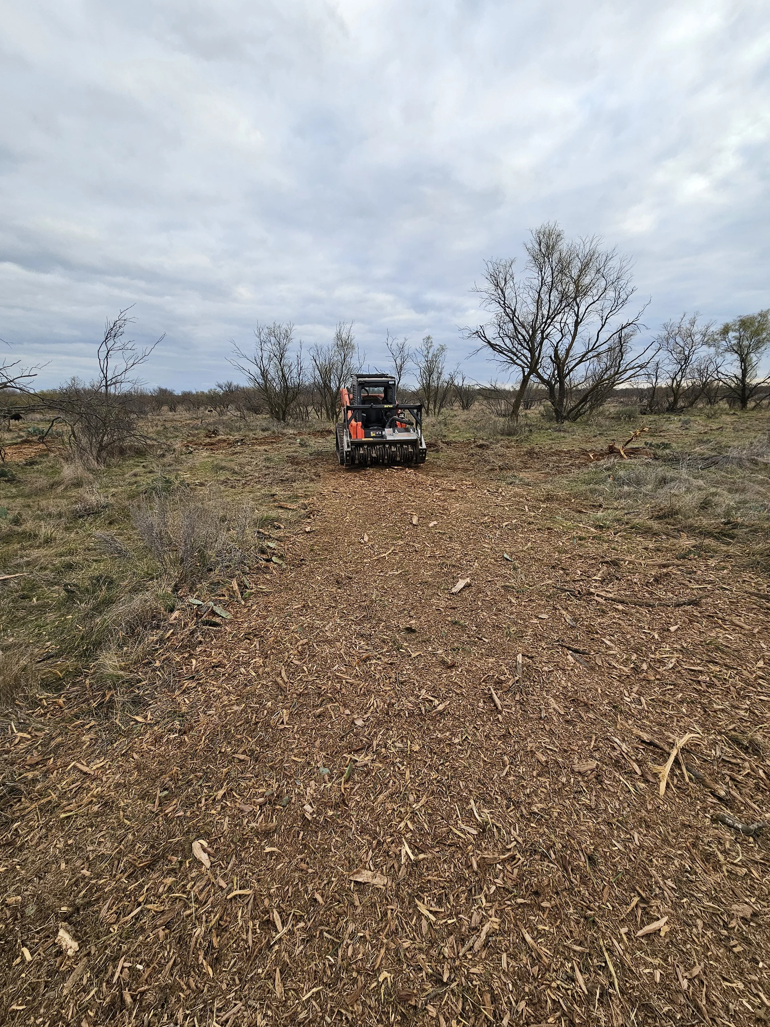 Mulching path pic.jpg