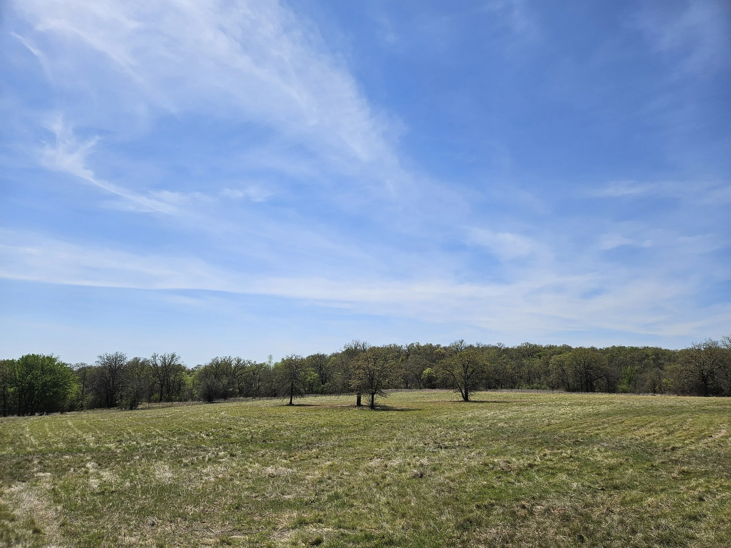 Keith G Food Plot Before 2026.jpg