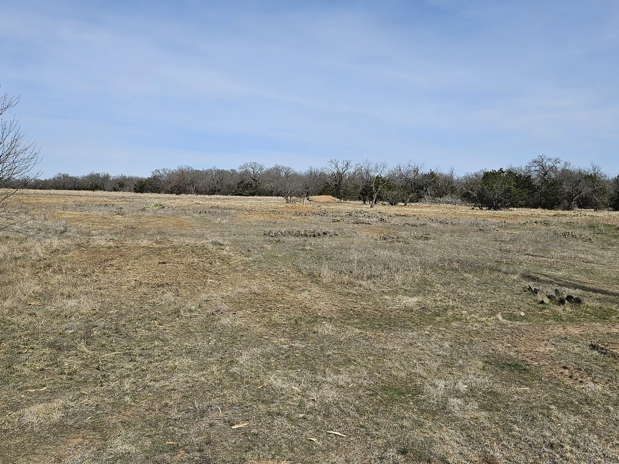 Food plot post mulching picture.jpg
