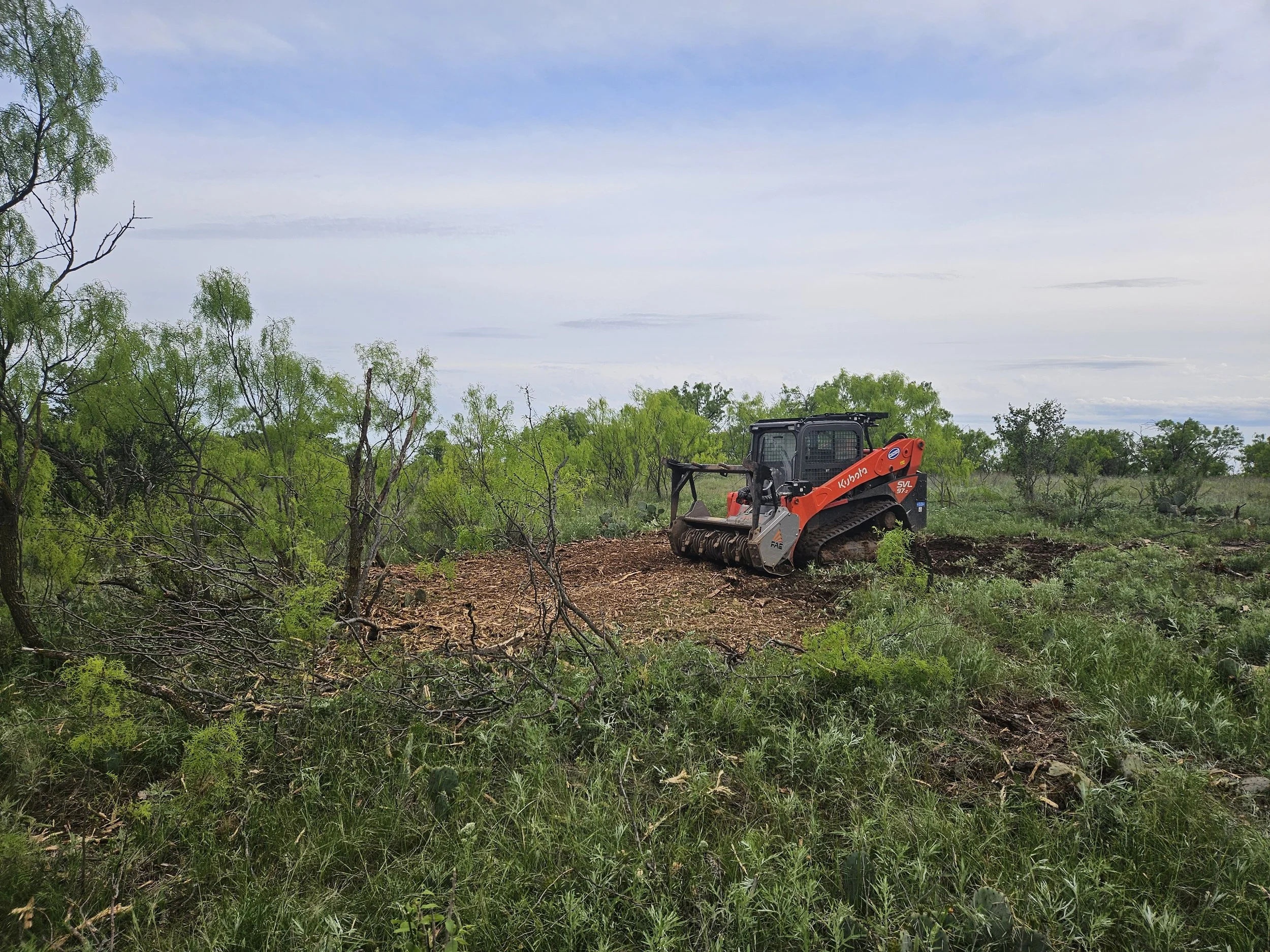 Mesquite brush mulch 2.jpg