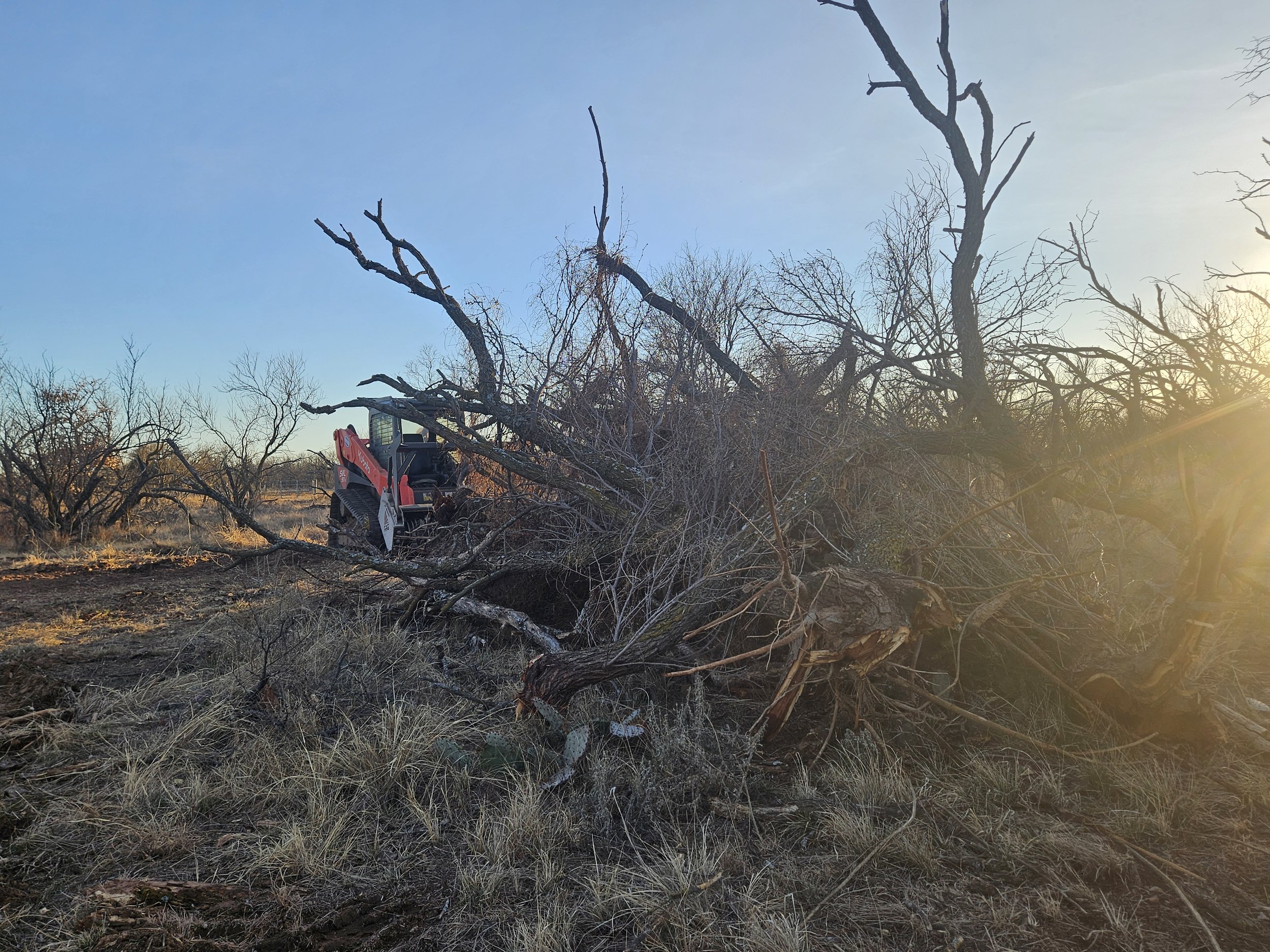 Big Brush Pile Before Pic.jpg